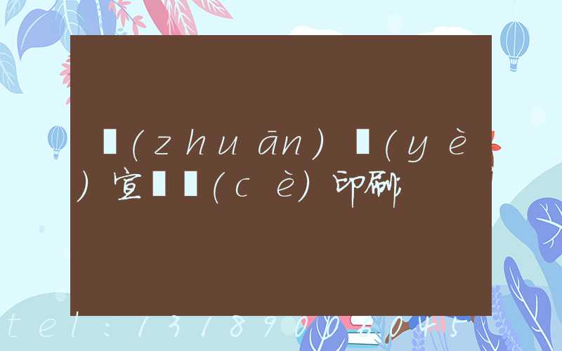 專(zhuān)業(yè)宣傳冊(cè)印刷