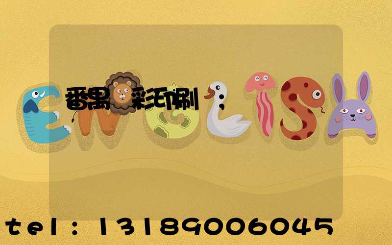 番禺藝彩印刷廠