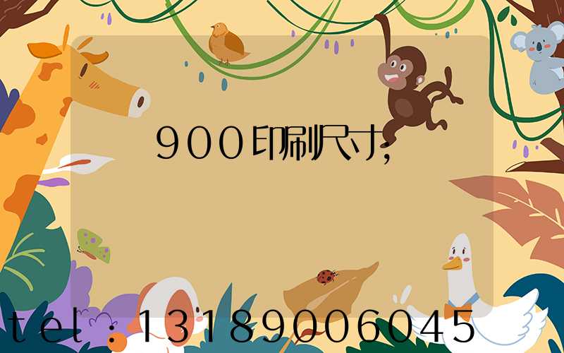 羅蘭900印刷尺寸